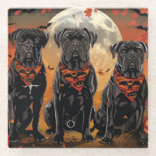 Cane Corso Halloween Gruselig Glasuntersetzer