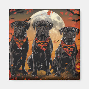 Cane Corso Halloween Spooky Magnet