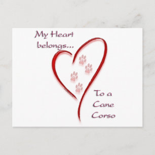 Cane Corso Heart Belongs Postkarte