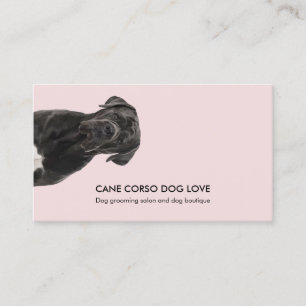 Cane Corso Hundeführung Pet Sitting Hundebetreuung Visitenkarte