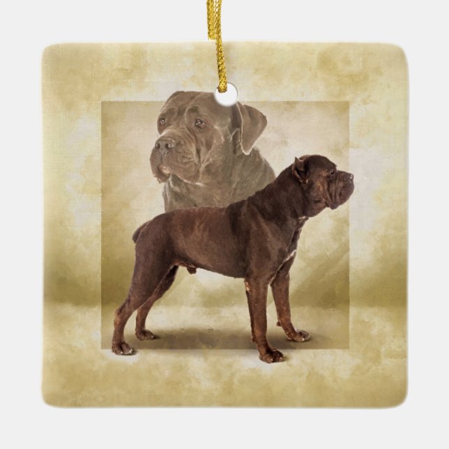 Cane Corso - Italienischer Mastiff Keramikornament (Vorderseite)
