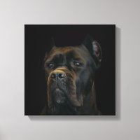 Cane Corso - Italienischer Mastiff
