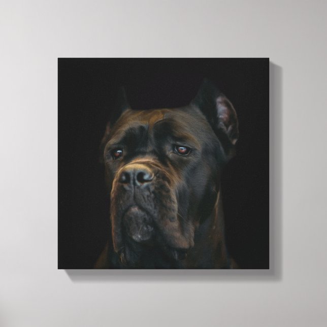 Cane Corso - Italienischer Mastiff Leinwanddruck (Vorderseite)