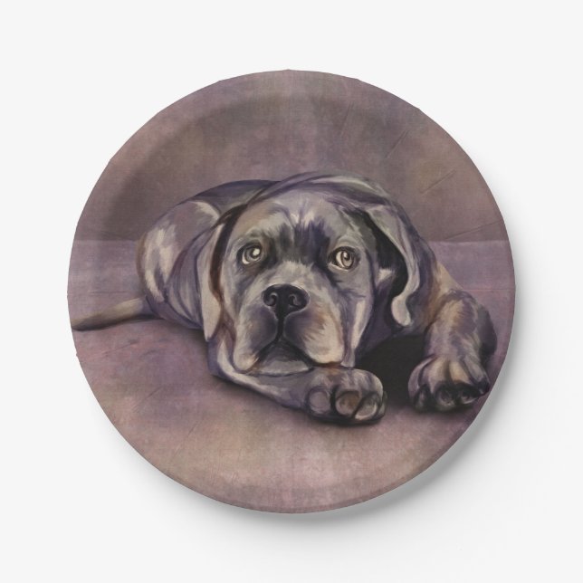 Cane Corso - Italienischer Mastiff-Welpe Pappteller (Vorderseite)