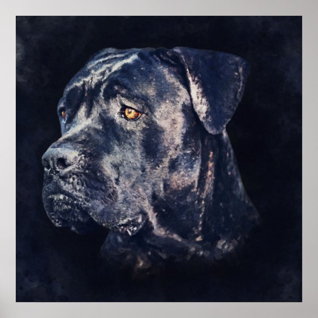 Cane Corso - Italienisches Mastiff Portrait Poster (Vorne)