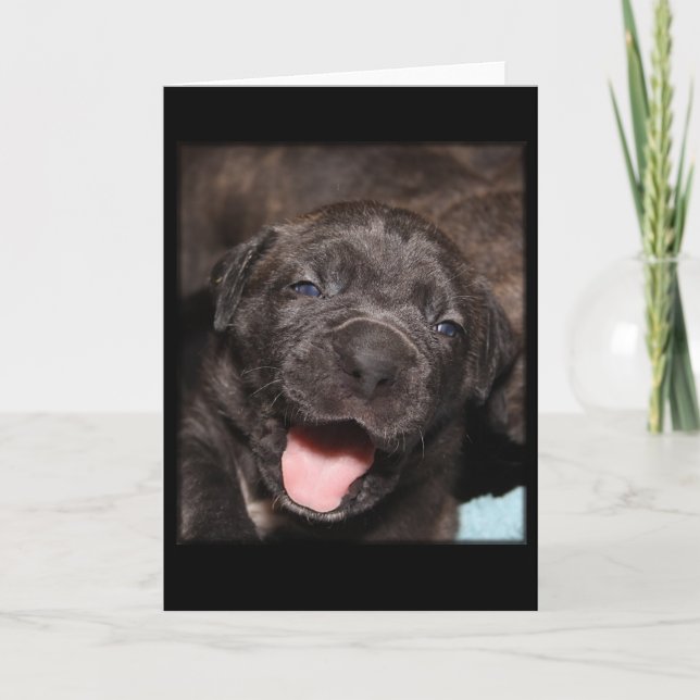Cane Corso Mastiff Puppy Karte (Vorderseite)