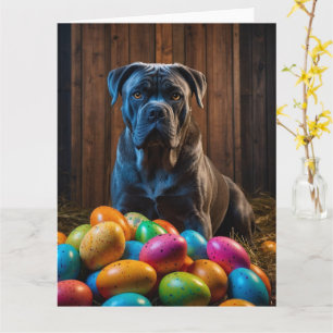 Cane Corso Ostereier Karte