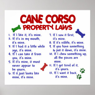 CANE CORSO PL2 POSTER