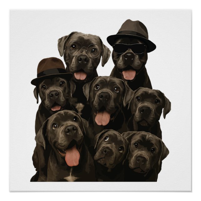 Cane Corso Poster (Vorderseite)