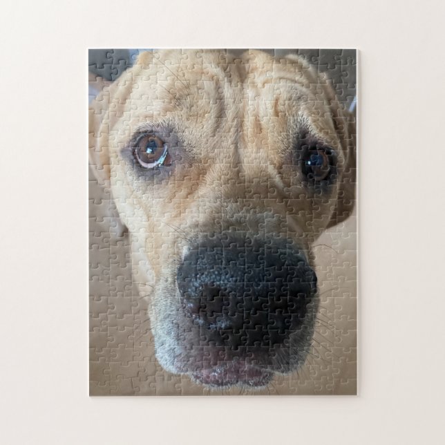 Cane Corso Puzzle (Vertikal)