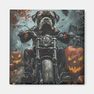 Cane Corso Reitet Motorrad Halloween Gruselig Magnet