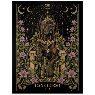 Cane Corso, Sternenlicht-Tarot-Kunst Postkarte