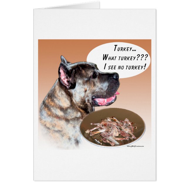 Cane Corso Türkei (Vorne)