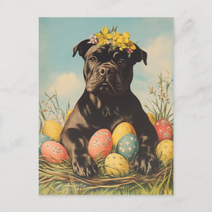 Cane Corso Vintag Ostern Postkarte