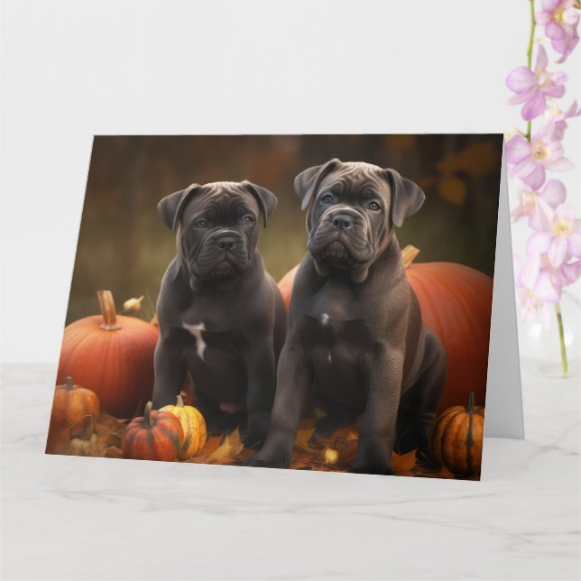 Cane Corso Welpe Autumn Delight Pumpkin Karte (Orchidee)