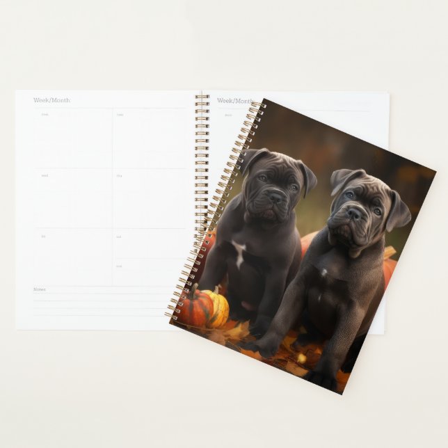 Cane Corso Welpe Autumn Delight Pumpkin Planer (Anzeige)