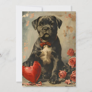 Cane Corso Welpe vintage Valentinstag Feiertagskarte