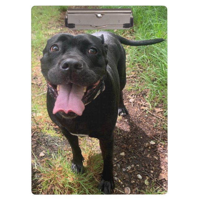 Cane Corso X Zwischenablage Klemmbrett (Vorderseite)