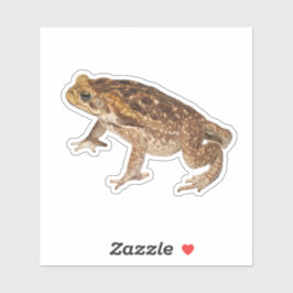 Cane Toad Aufkleber