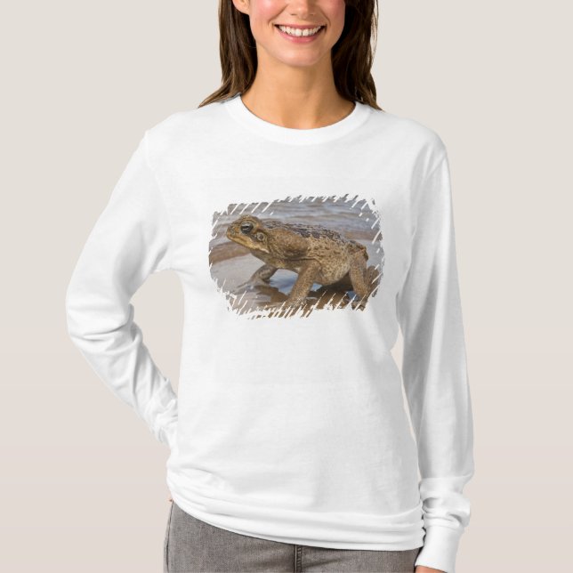 Cane Toad Rhinella marina, früher Bufo T-Shirt (Vorderseite)
