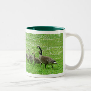 Canettes de café Canada Oies Mugs Verres d'oies