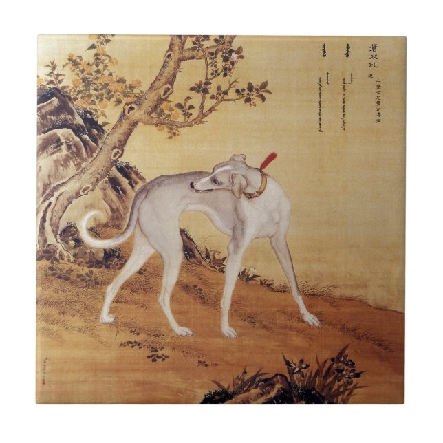 Cangshuiqiu 苍水虬 ~ Windhund ~Giuseppe Castiglione~ Fliese (Vorderseite)