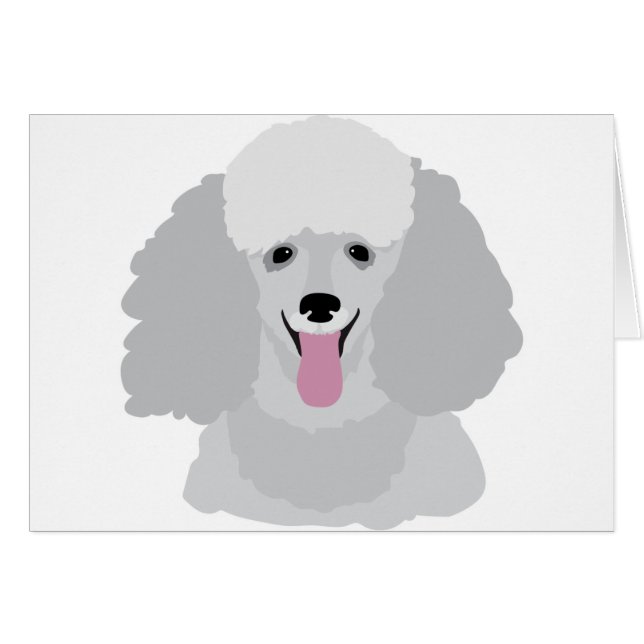 Caniche de jouet (Devant horizontal)