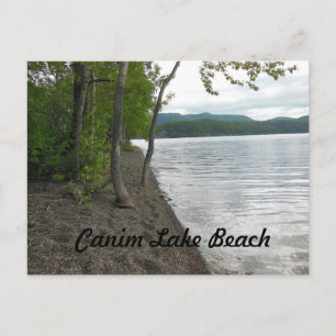 Canim Lake Beach Postcard Postkarte