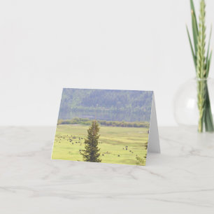 Canim Lake Cattle Note Card Karte