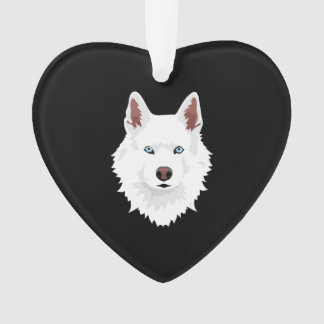 Canine blanche à Husky en Sibérie - Chien blanc à 