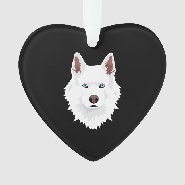 Canine blanche à Husky en Sibérie - Chien blanc à  (devant)