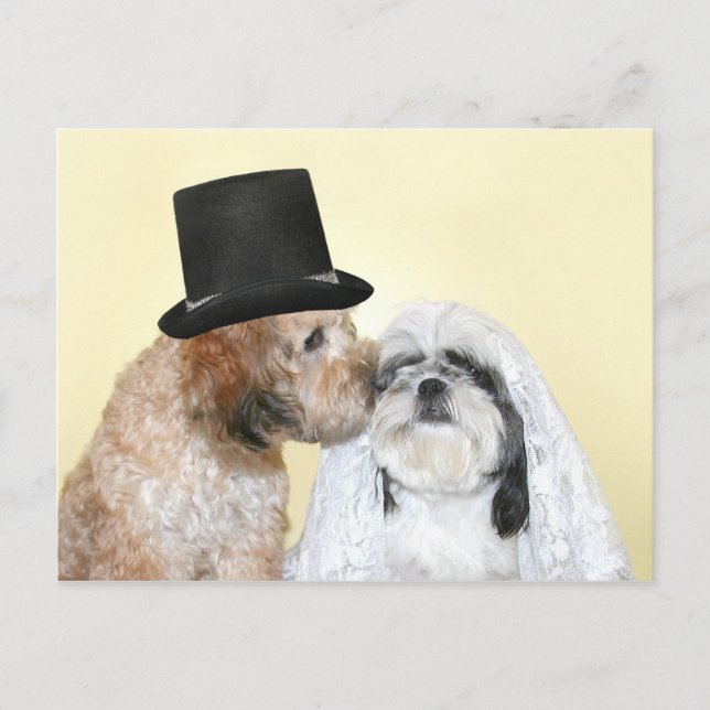 Canine Bride and Groom Postkarte (Vorderseite)