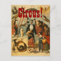 Canine Circus - Carte postale #2