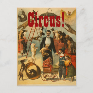 Canine Circus - Postkarte Nr. 2