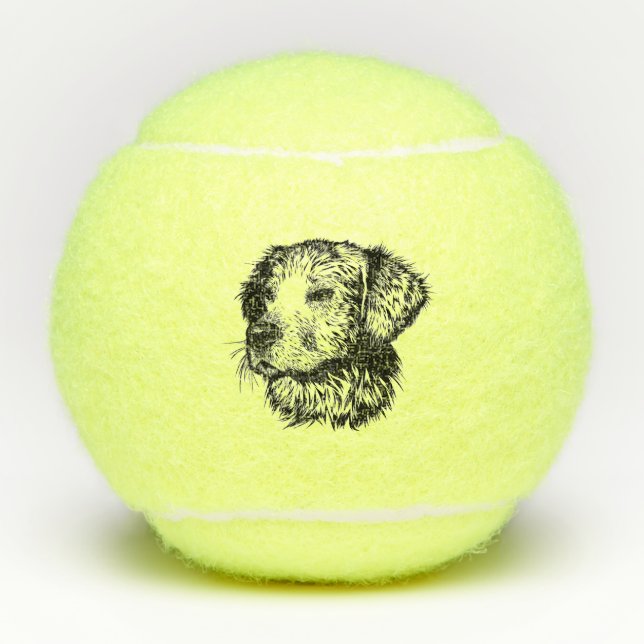 Canine Head Sketch Tennisbälle (Vorderseite)