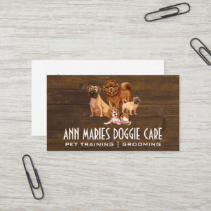 Canine Pack Doggie Training und Betreuung Visitenkarte