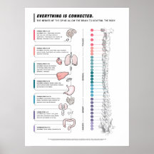 Canine Poster