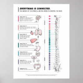 Canine Poster