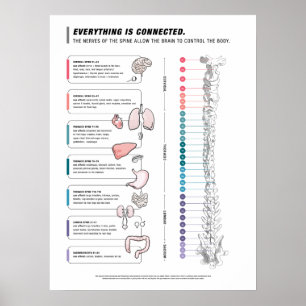 Canine Poster