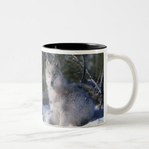 Canis_lupus_wolf, Canis_lupus_wolf Zweifarbige Tasse