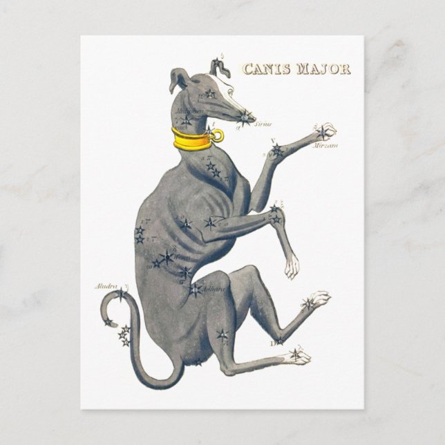 Canis Major Vintag Star Karte (Vorderseite)