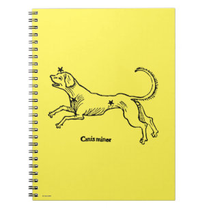 Canis-Minderjähriger, 1482 Notizblock