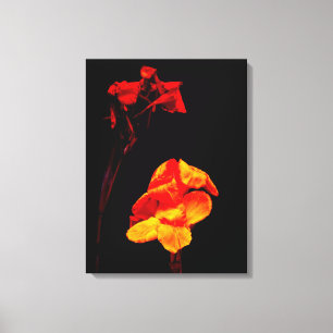 Canna Lilies auf schwarz Leinwanddruck
