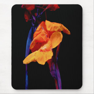 Canna Lilies auf Schwarz mit Blau Mousepad