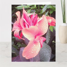 Canna Lily Foto BIG Card & Insu Foto/Wörter hinten Karte