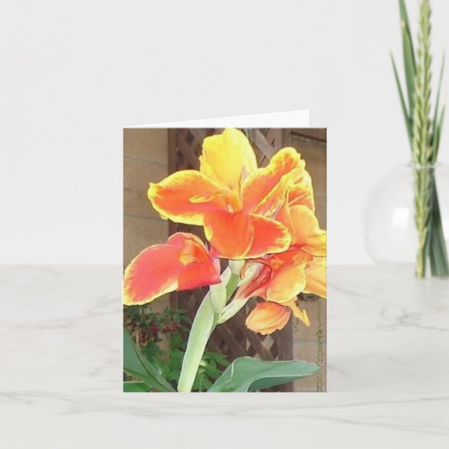 Canna Lily notecard Karte (Vorderseite)