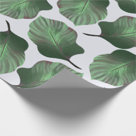 Canna Tropicanna Tropical Blätter, grün Geschenkpapier