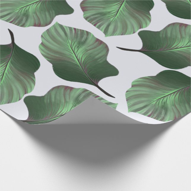 Canna Tropicanna Tropical Blätter, grün Geschenkpapier (Ecke)