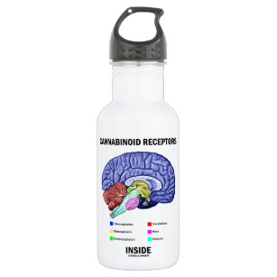Cannabinoid Empfänger-Innere (Gehirn-Anatomie) Trinkflasche