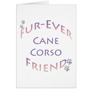 Canne Corso Furever